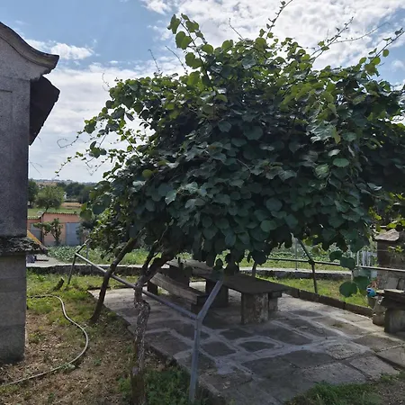 A Lenda Da Meiga